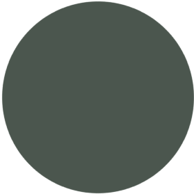 ckeckout image for section four